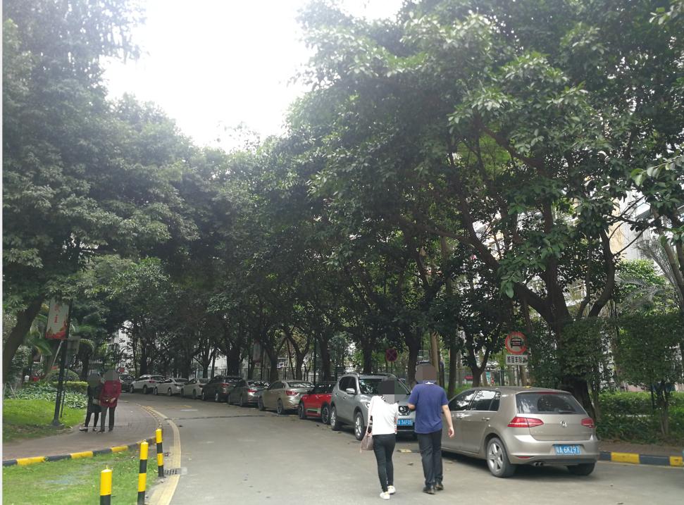 骞垮窞涓捣搴峰煄鎴夸环,娣卞湷涓捣搴峰煄鎴夸环