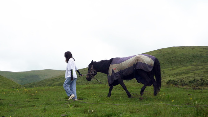 若尔盖5日游推荐,成都九寨沟黄龙若尔盖深度游