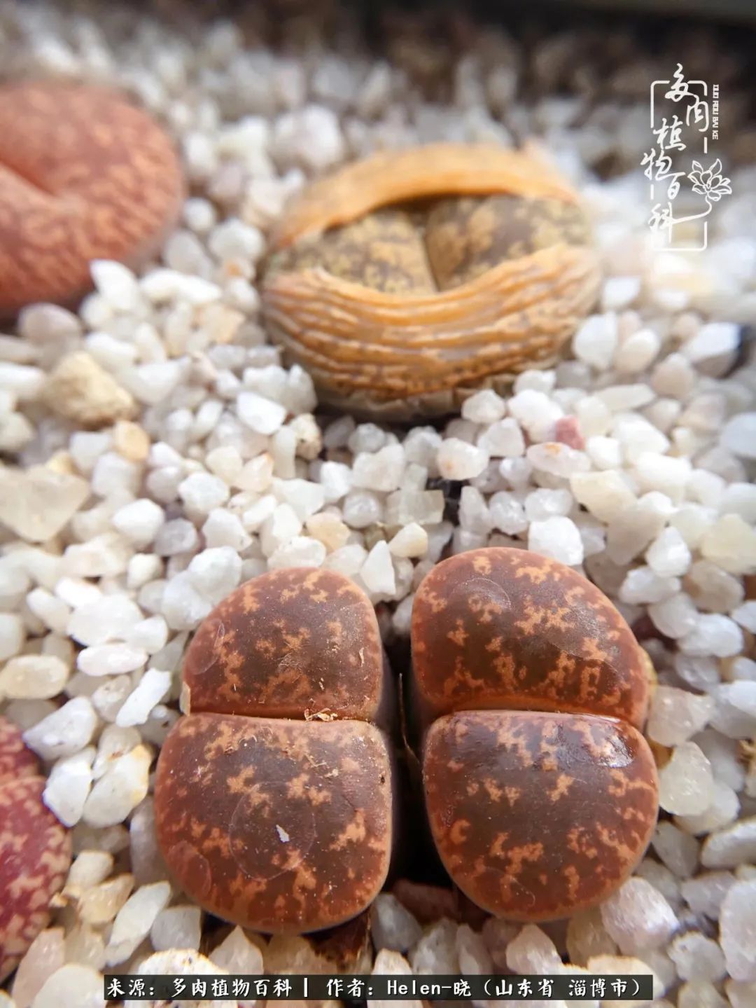 人到中年温暖如初,人到中年岁月静好