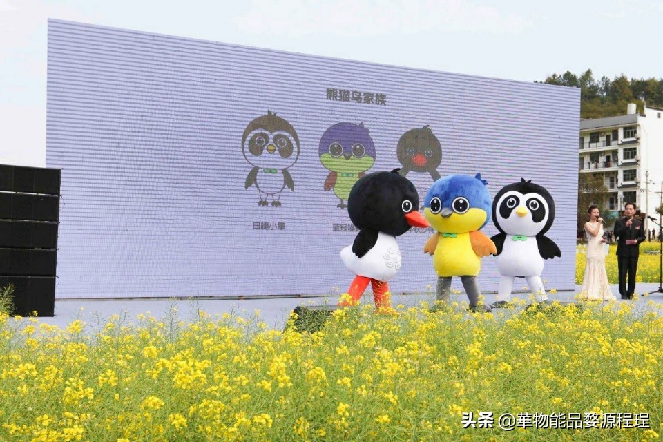 江西婺源油菜花音乐节,婺源油菜花文化节