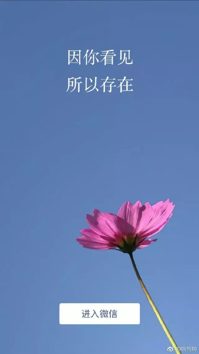 微信更新新功能上了热搜,微信更新最新版本功能介绍