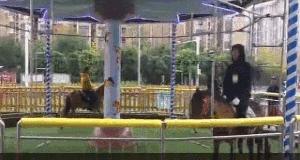 这样的“旋转木马”你一定没见过，网友直呼太残忍……