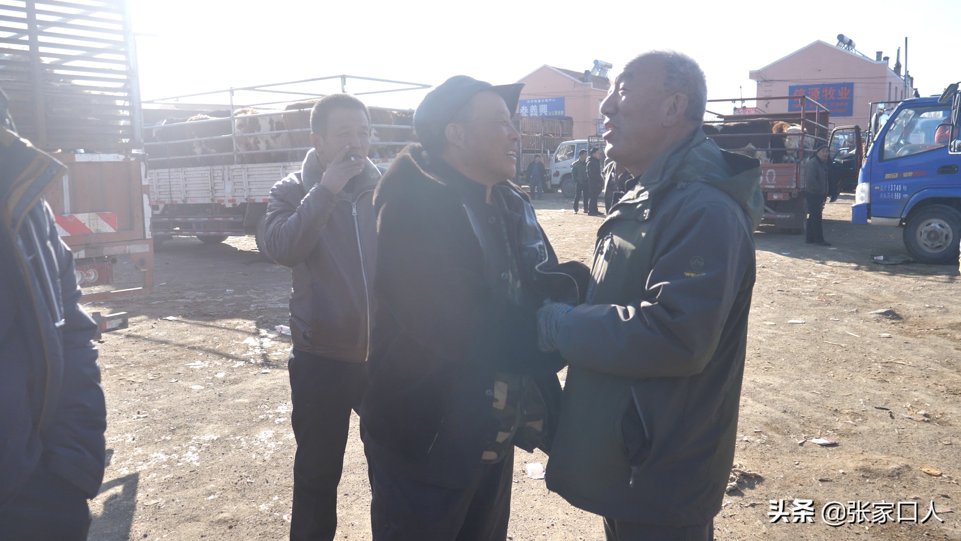 牙纪是古老的行业，在张北牲畜交易中心年轻人都在干，什么原因？