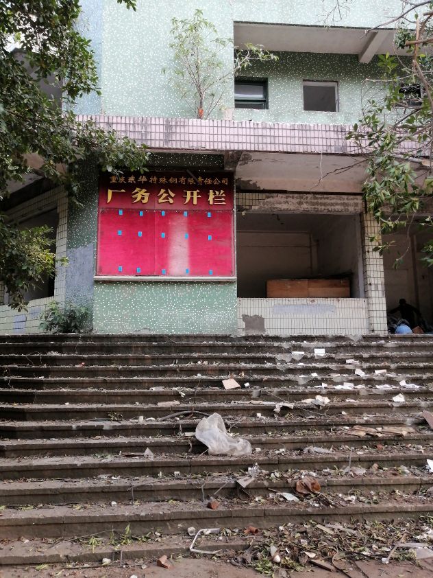 扫街日记100篇,扫街日记视频