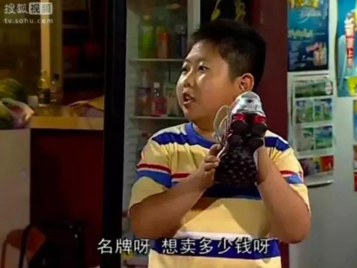 家有儿女刘星家到底是多有钱,家有儿女刘星家究竟多有钱