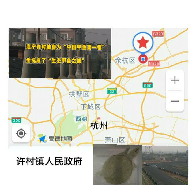 甲鱼全产业链,甲鱼产业现状如何