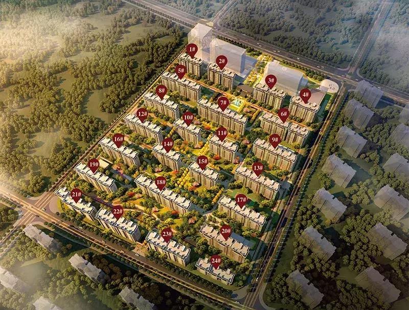 江北核心区重磅学校,江北核心区会有什么名校入驻