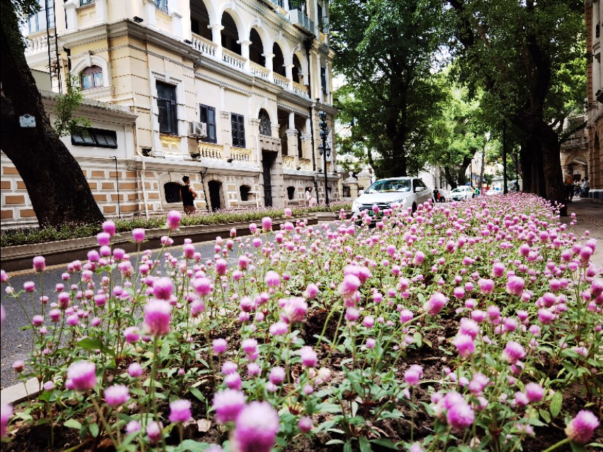广州租界最早的沙面,广州沙面岛以前是租界吗