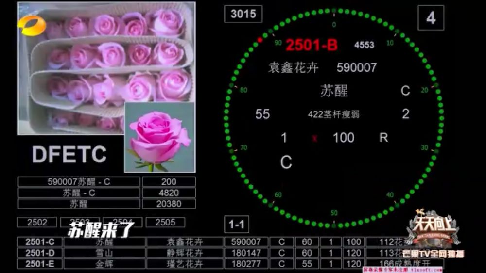 亚洲第一鲜花交易市场是哪里,第一个花卉市场