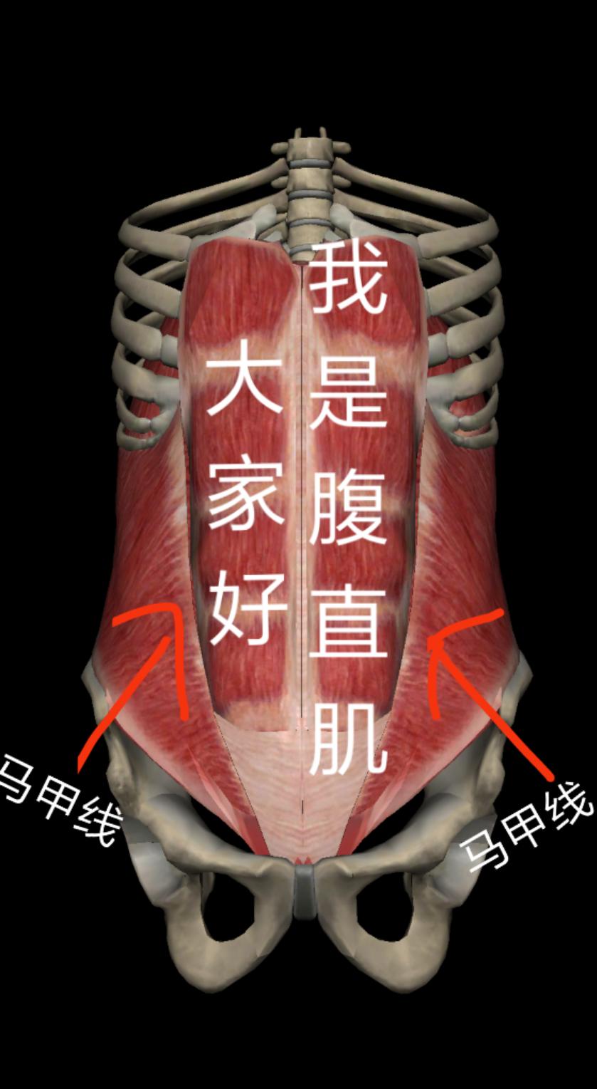 马甲线是瘦出来的还是练出来的,练出马甲线是为了好看还是健康