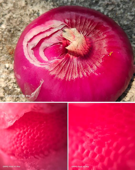 60倍显微镜能看皮肤,60倍显微镜下的微观世界