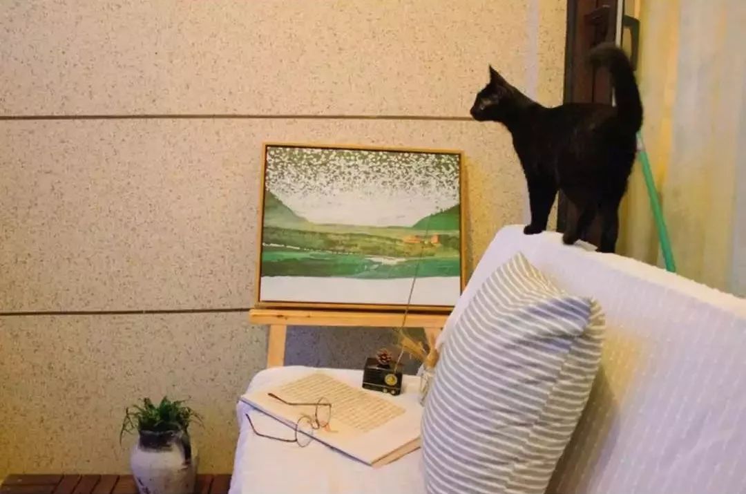 90后设计师妹子仅用5万，将89㎡装成温馨洋房！