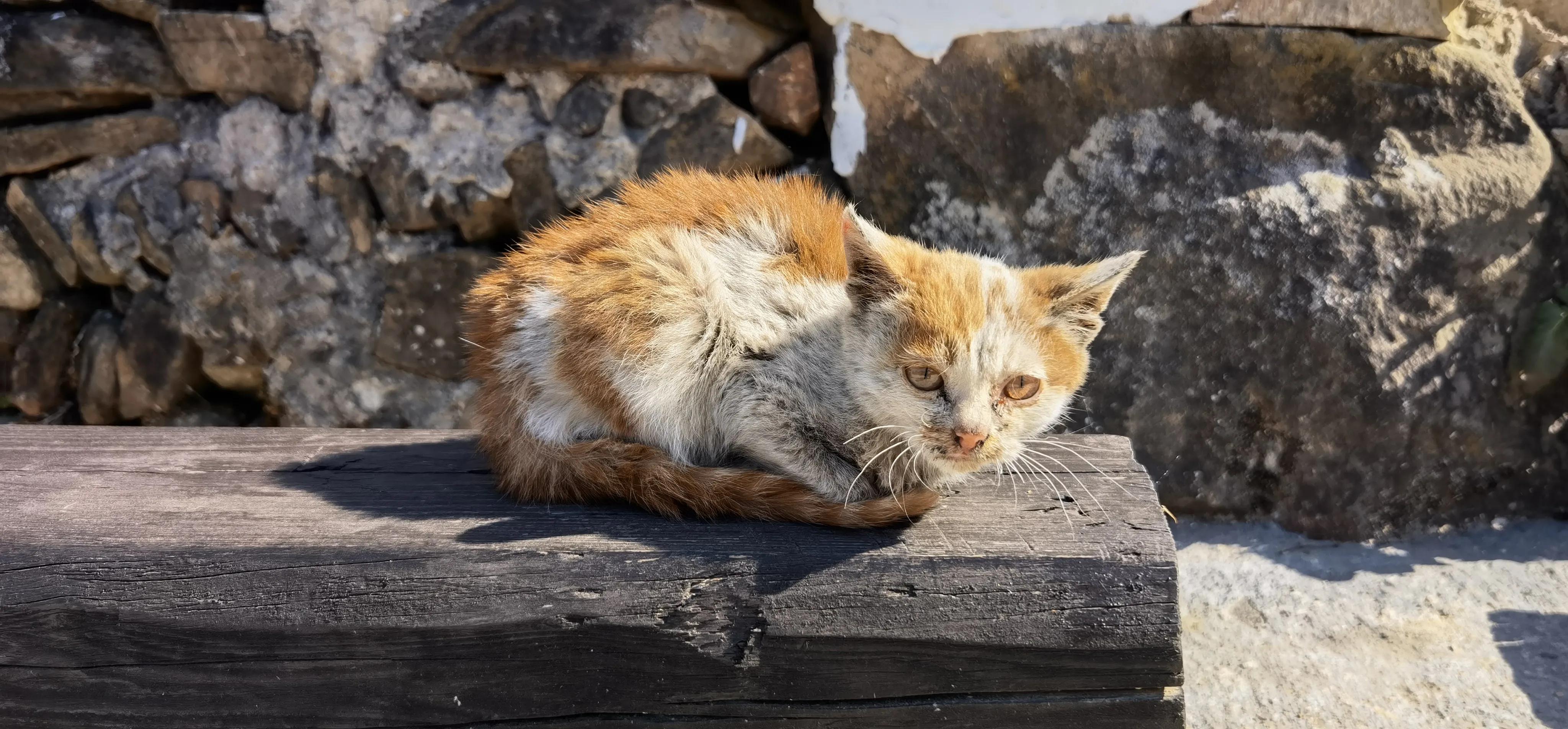 沃尔沃s90b5智雅2024动力,沃尔沃s90b5智远和智雅的区别