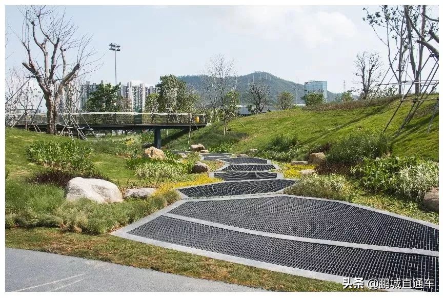 深圳小众主题公园免费,深圳所有景区