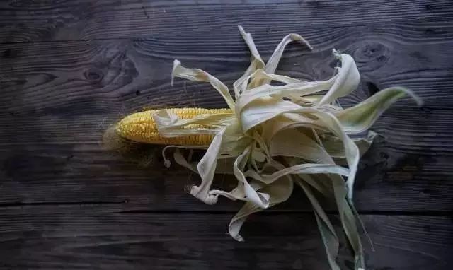 深山老林自建豪华木屋隐居生活,90后小情侣隐居深山建别墅仅花6万