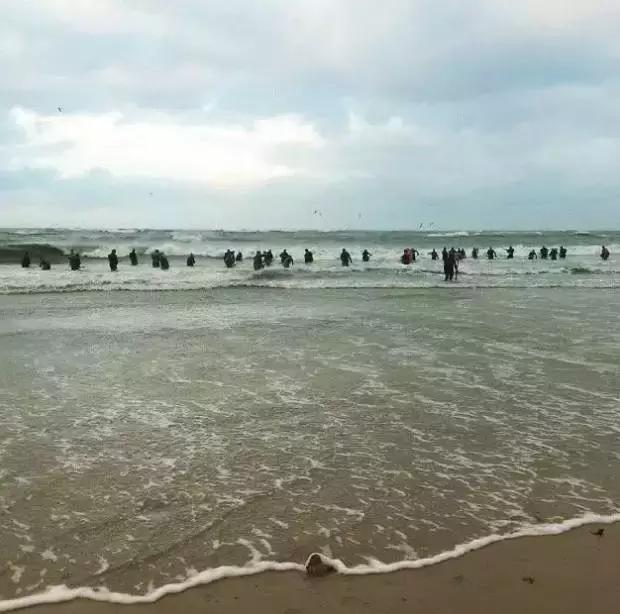 在俄罗斯,琥珀蜜蜡可以随便捡?