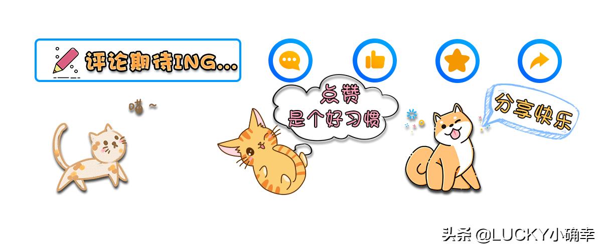 养猫怎么预防猫咪磨爪,养猫烦了怎么办