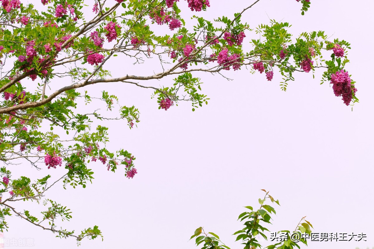 精阈值过高是怎样导致的,中医如何降低精关阈值过高