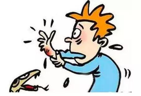 蛇出没高峰期广西,玉林一市民家里藏4条蛇