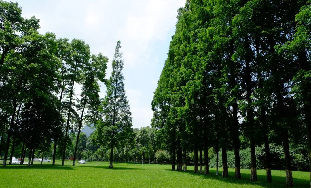 成都东软学院青城山下,东软青城山校区