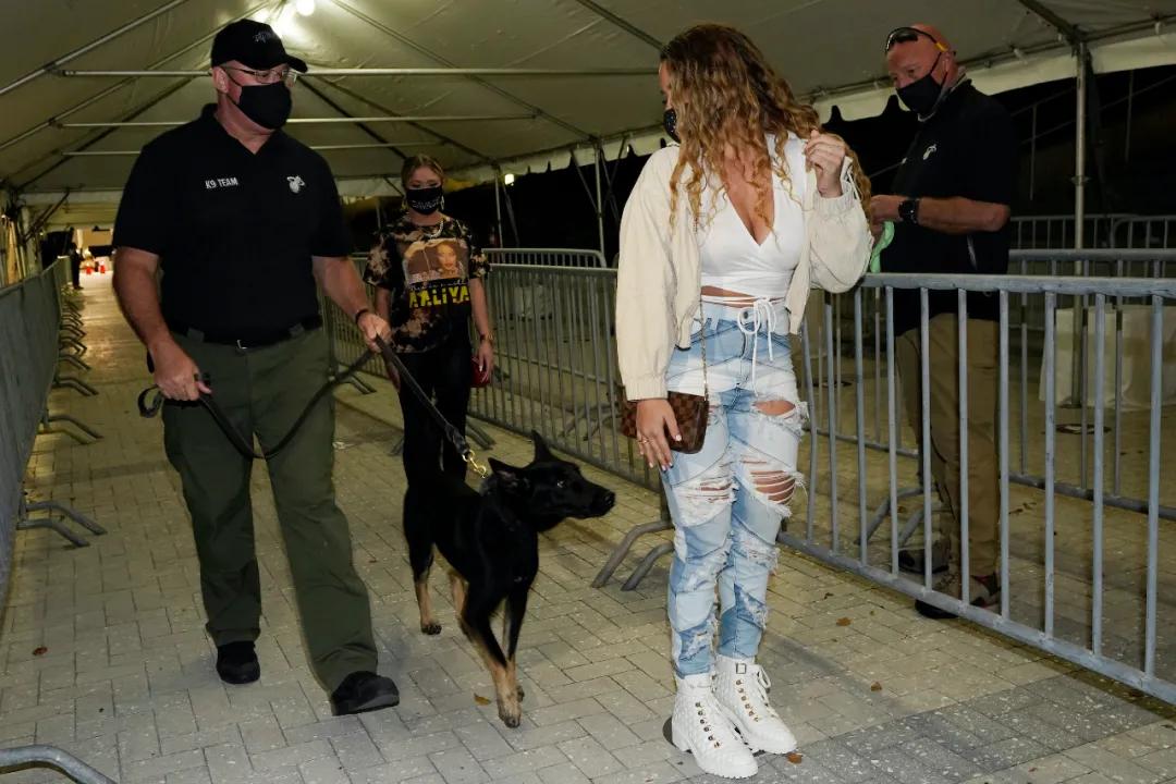 核酸检测太麻烦?10秒出结果的狗狗牌新冠探测器了解一下