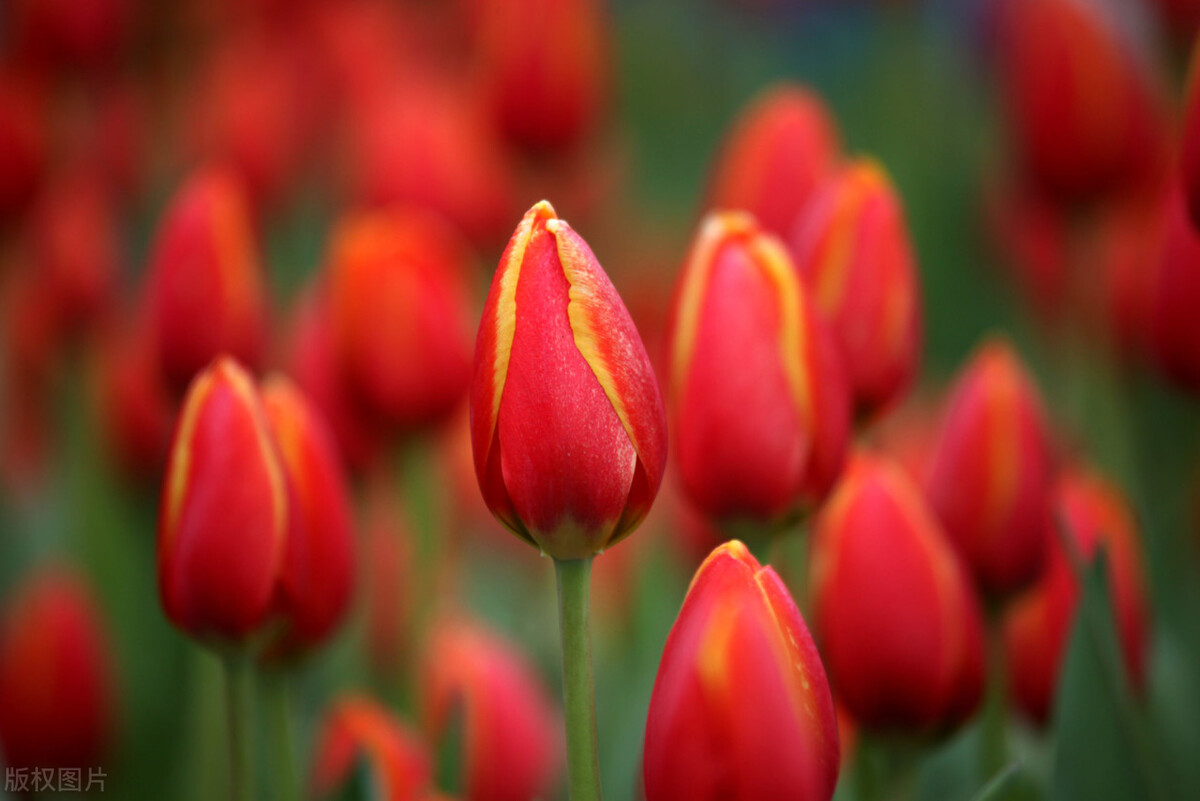 摆什么地摊容易又赚钱,摆什么地摊最挣钱又简单