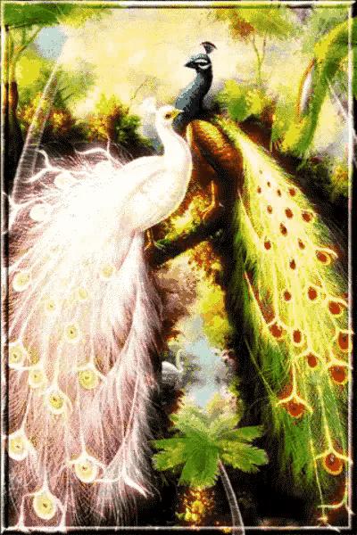 会动的图片100个,会动的10张图片