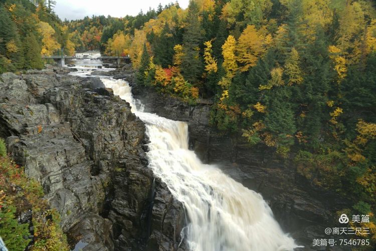 漫步魁北克体验不一样的北美风情,北美枫情蒙特利尔