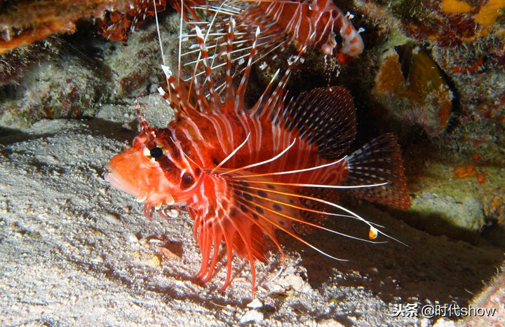 大溪地豪华岛屿旅游,时代show杭州建国北路