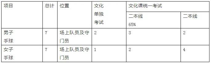 手球高水平运动员学校,2021手球高水平运动队招生简章