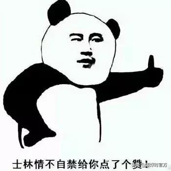 成年人职场上的黑话,成年人的社会黑话