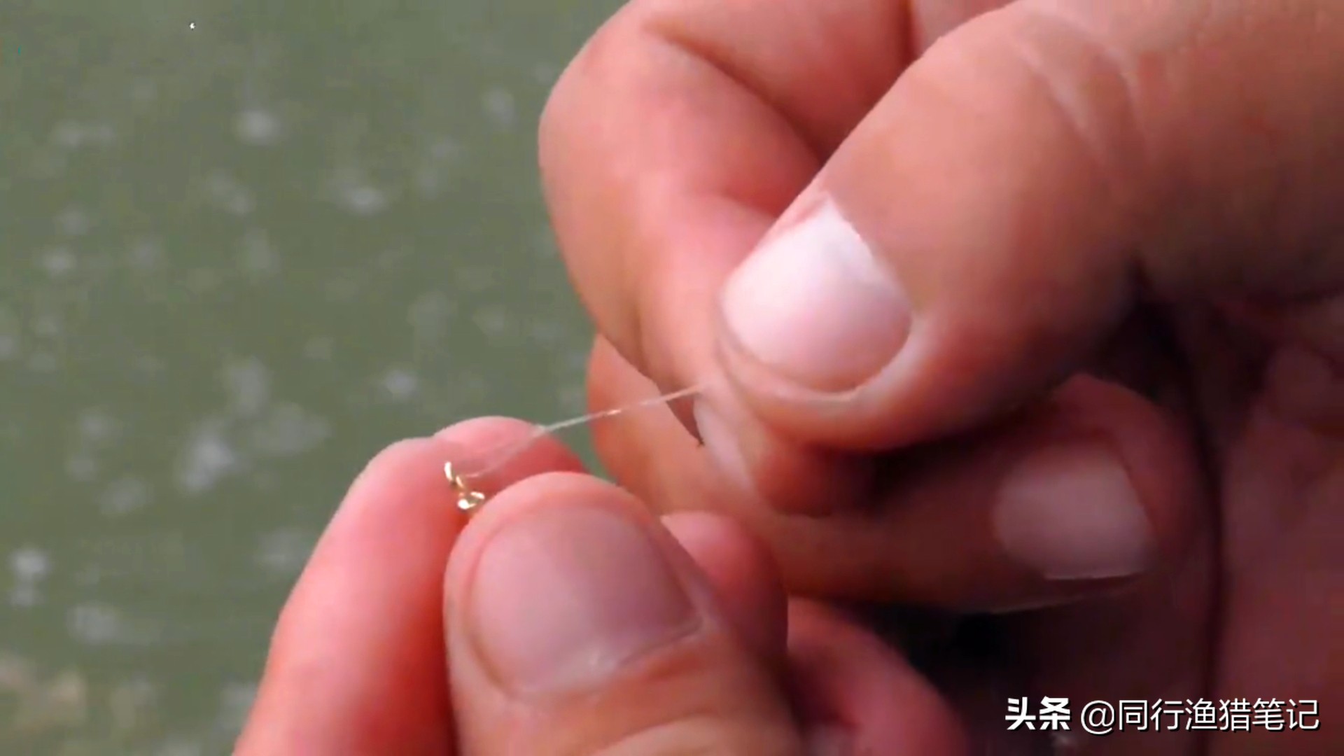 野钓流水怎么调漂准确又快,野钓万能4步调漂法