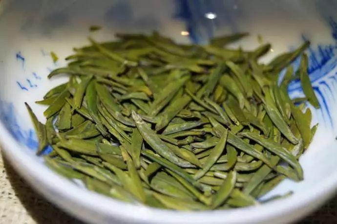“走进”茶乡，来士陈普茶
