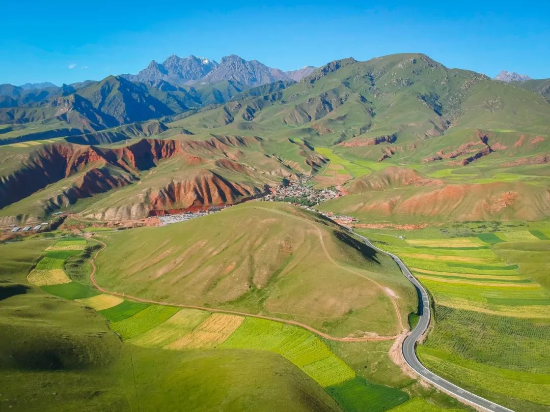 只要你面朝青海湖，八月依旧春暖花开