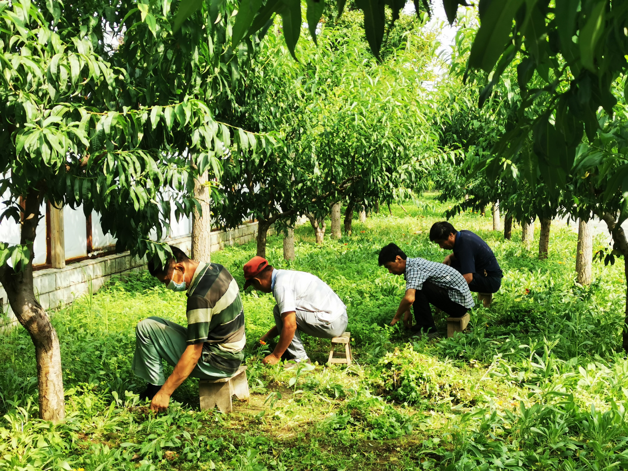 北京最大户外温泉,北京面积最大的温泉