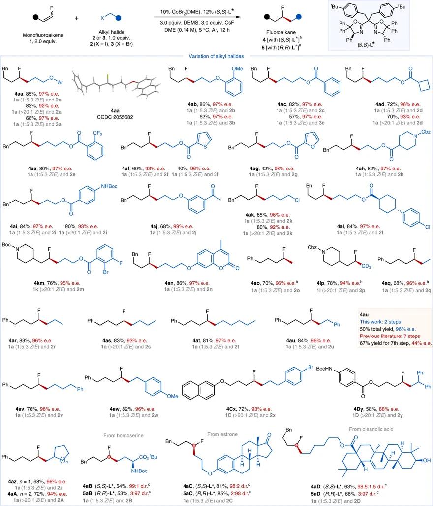 中科大傅尧院士,傅尧科大