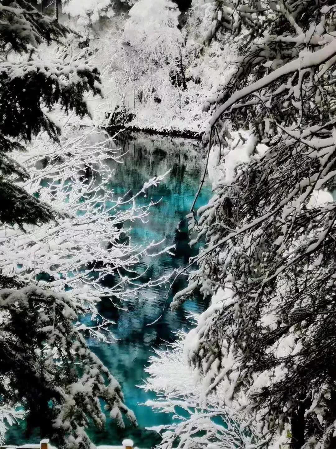 九寨沟旅游怎么购票 (九寨沟旅游散客如何购票)