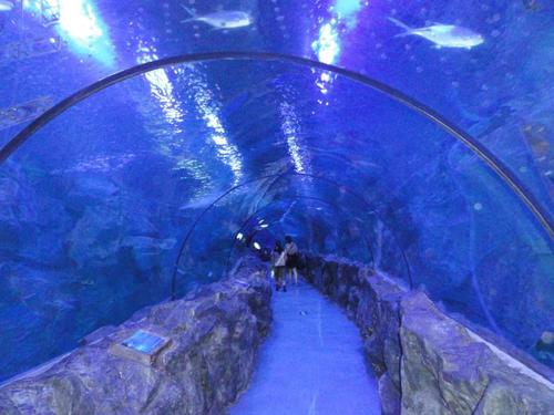 宁波4a星级旅游景点,请介绍一下宁波市的旅游景区