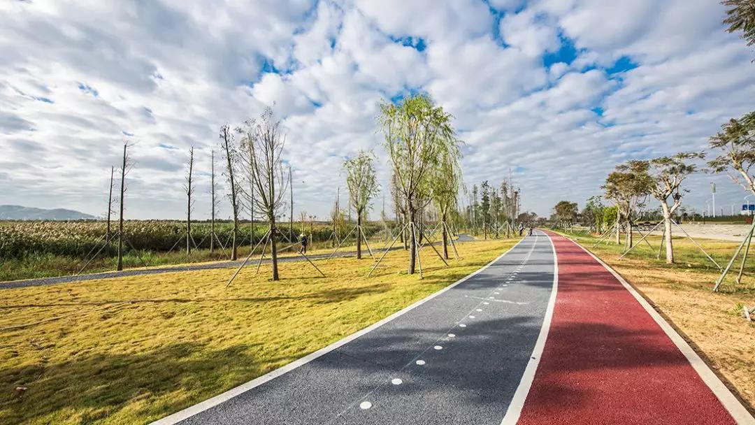 免费+湿地公园+花海栈道…珠澳市民新的休闲好去处