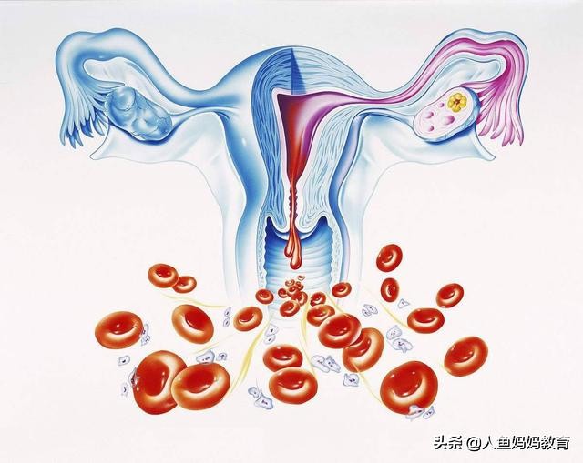 中考体育碰上月经来怎么办,女生来例假碰到体育考试怎么办