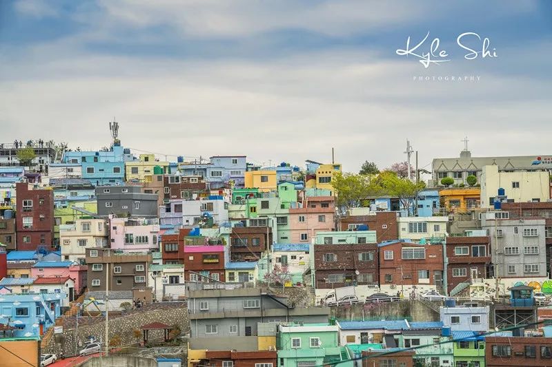 樱花季去京都怎么避免人太多,樱花季去日本旅行