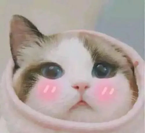 额头闷痘长痘用什么护肤品,脸上老是长痘痘用什么护肤品