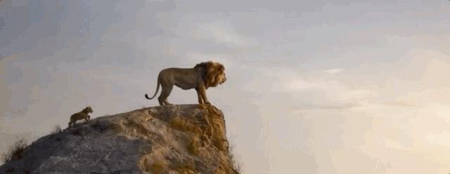 《狮子王》成年度面瘫巨制，但真有那么差吗？