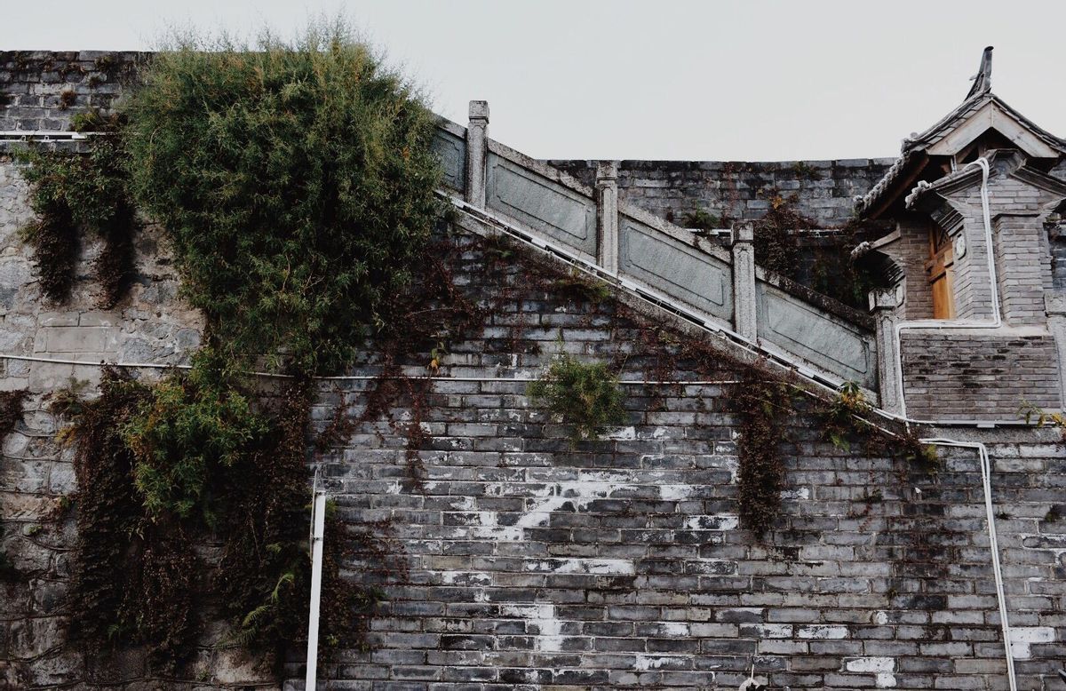 十二星座智商最高的五大星座,智商高却不会玩心机的星座
