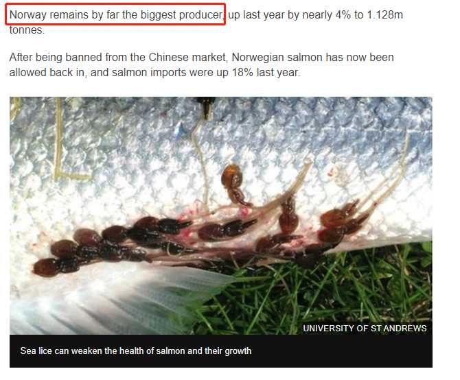 挪威三文鱼和北欧大西洋鲑鱼,德国鲑鱼和挪威三文鱼