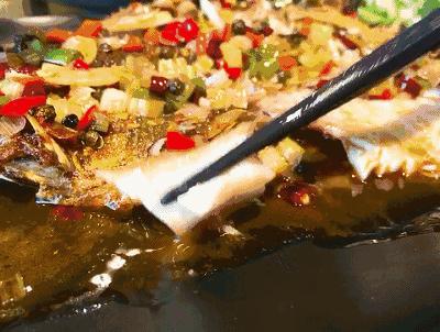 别再说“草鱼肚裆，青鱼尾”，我们将看一眼都没有了机会