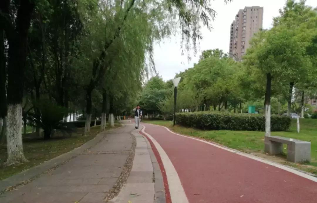 南昌将新增115公里绿道,拓展城市绿道建设