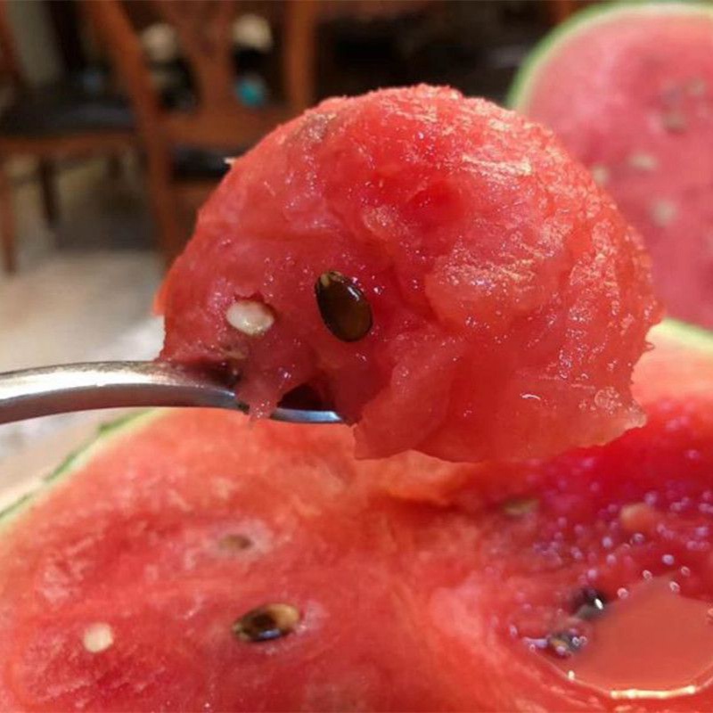 北瓜催芽播种技术,桂北早稻新技术