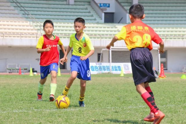 中国的足球青训vs校园足球,足球青训和校园足球