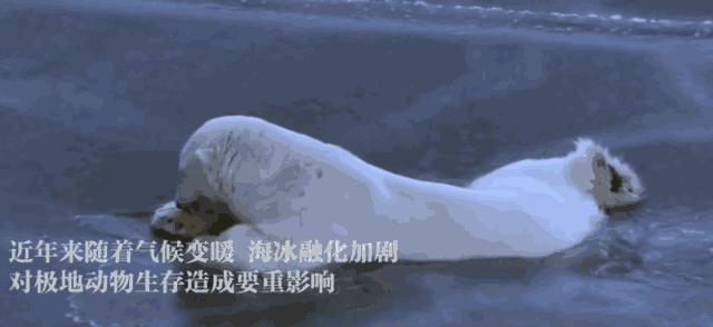 人类面临的生态困境包括哪,生态农业的可能性以及前景